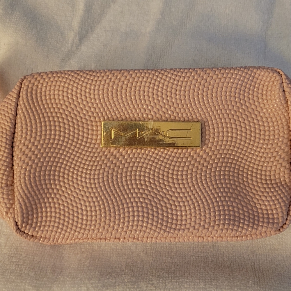 MAC makeup bag/clutch